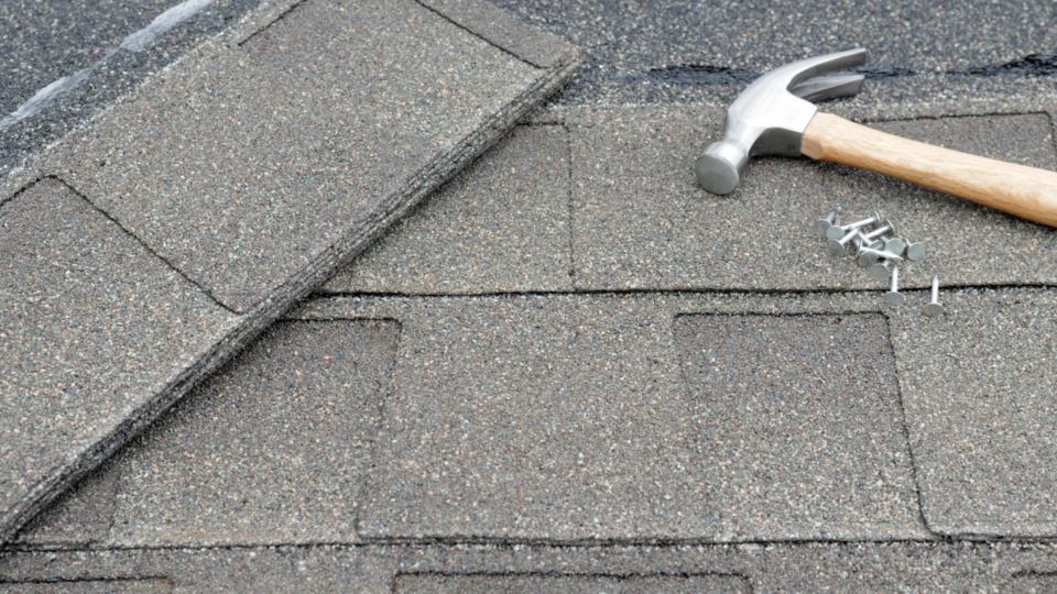 Dealing with Dark Streaks on Your Roof, Tips from a Pensacola, FL