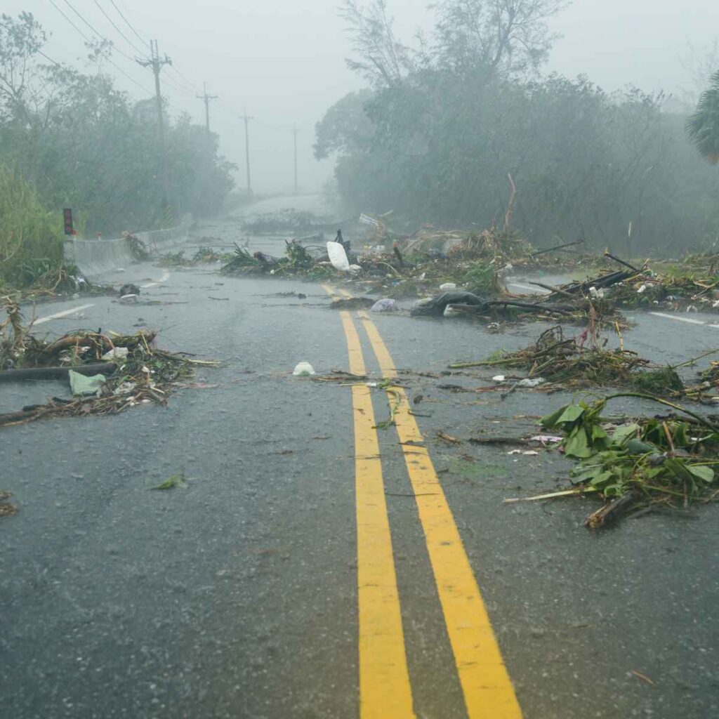 Roofs for the Hurricane Season - Best Local Pensacola, Panama City, Port Charlotte, Fort Myers, Punta Gorda Florida - Roofing Company - Roofer - Contractor - Residential, Commercial, Industrial